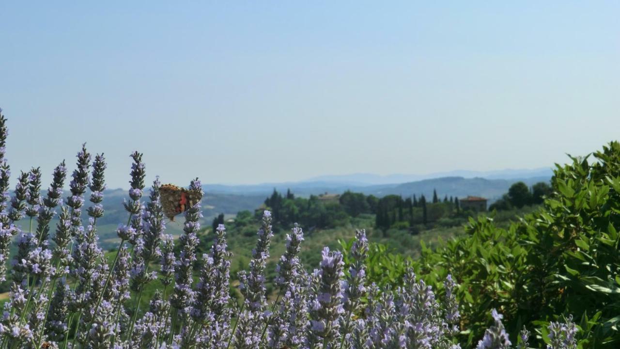 Appartamenti Ava E Tegrino Nell'Antica Dimora Di Fulignano ซานจีมิญญาโน ภายนอก รูปภาพ