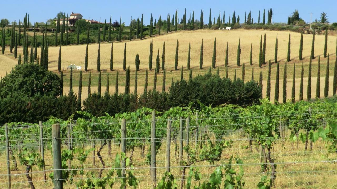 Appartamenti Ava E Tegrino Nell'Antica Dimora Di Fulignano ซานจีมิญญาโน ภายนอก รูปภาพ